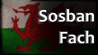 Welsh Folk Song  Sosban Fach [upl. by Bary]