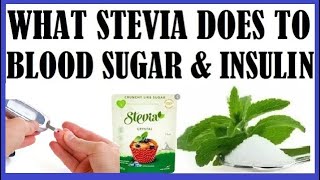 What Stevia Does To Your Blood Sugar amp Insulin [upl. by Linoel]