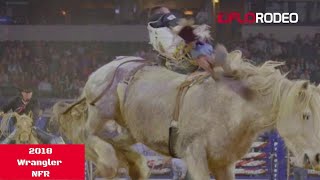 Virgil The Best Bucking Horse Of All Time [upl. by Hosfmann857]