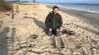 Sand dune succession model at Studland Bay with Barry and Ben The Geography Men [upl. by Ater]