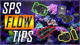 Beginner SPS Reef Tank Flow  Acropora Flow Tips [upl. by Trebmer]