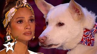 Judges Cry Over Emotional Dog Magic Act on Britains Got Talent 2020  Magicians Got Talent [upl. by Cornel631]