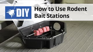 How to Use Rodent Bait Stations [upl. by Blayne101]