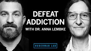 Dr Anna Lembke Understanding amp Treating Addiction [upl. by Yromem643]