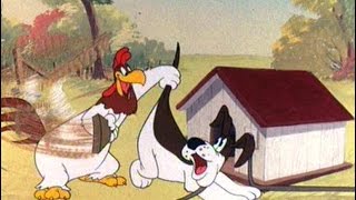 70 Years of Foghorn Leghorn [upl. by Zamir]