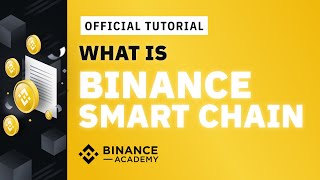 What is Binance Smart Chain BSC and How to Use It  Binance Official Guide [upl. by Marjana]