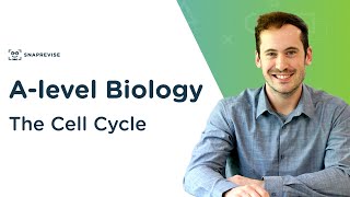 The Cell Cycle  Alevel Biology  OCR AQA Edexcel [upl. by Meeharbi]