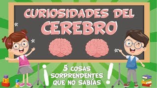 5 COSAS QUE NO SABÍAS DEL CEREBRO  CURIOSIDADES FASCINANTES PARA NIÑOS [upl. by Lejeune]