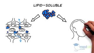 What is Neonatal Nursing [upl. by Padgett]