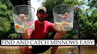 How to Find AND Catch Minnows for Bait [upl. by Esmaria]