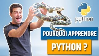 Pourquoi apprendre Python [upl. by Yttig]