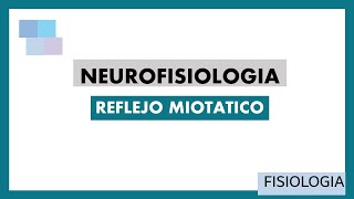 NEUROFISIOLOGIA  Reflejo Miotático [upl. by Nosreve]