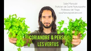 Coriandre amp Persil  LES VERTUS NATUROPATHIQUE [upl. by Ahmed693]