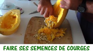 PRODUIRE SES GRAINES DE COURGES ET COURGETTES [upl. by Hanad]