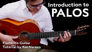 Introduction to Palos  Flamenco Guitar Tutorial by Kai Narezo [upl. by Lerim]