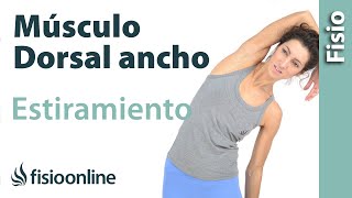 Estiramiento y flexibilidad del Músculo Dorsal ancho [upl. by Sucramd]