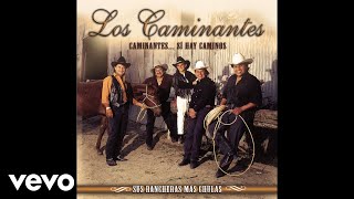 Los Caminantes  Tu Mirada Audio [upl. by Iey]