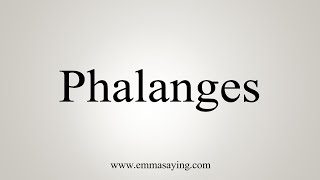 How To Say Phalanges [upl. by Card]