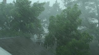 Heavy Rain and Wind Sounds For Sleeping  Relaxation  10 Hours [upl. by Nitsyrk]