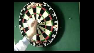 Darts Caddy Portable Dartboard Stand Review [upl. by Slyke]