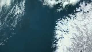 Phytoplankton  excerpt from Planet Ocean the movie [upl. by Yerffeg273]