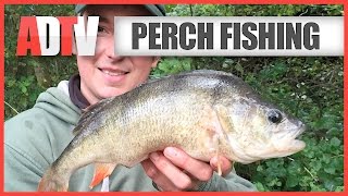 How To Catch Perch  Perch Fishing Tips [upl. by Telracs119]