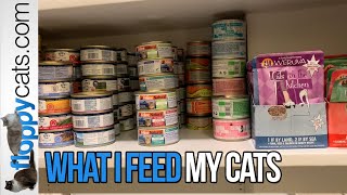 Best Wet Cat Food Brands What I Feed My Cats and How I Organize Them [upl. by Ailla]