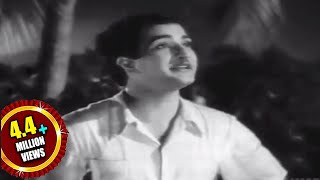 Missamma Movie  Raavoyi Chandamaama Video Song  NTR ANR SVR Savitri Jamuna [upl. by Bolt]