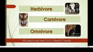 Herbivore Carnivore Omnivore Song [upl. by Bethina258]