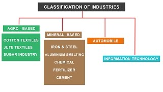 NCERT Class 10  Classification of Industries  Agro Mineral Automobile IT sector [upl. by Aikin]