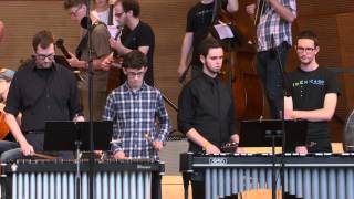 Terry Riley  In C  Live at Millennium Park Chicago [upl. by Alroy120]