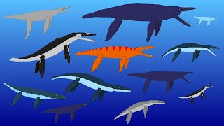 Sea Monsters  Pliosaurs  Animated Size Comparison  Extinct Marine Reptiles [upl. by Skricki]