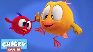 Wheres Chicky  CHICKYS LITTLE FRIEND  Chicky Cartoon in English for Kids [upl. by Anasus527]