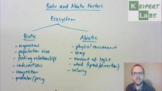 Biotic and Abiotic Factors [upl. by Snevets]