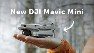 Cinematic Footage with the DJI Mavic Mini  HandsOn Review [upl. by Sualokcin868]