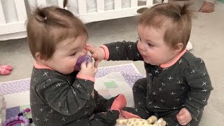 Funniest TWIN Baby Girls Share A Pacifier [upl. by Aneloj]