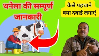 Mastitis  प्रकार और इलाज [upl. by Tiffani765]