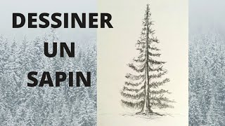 COMMENT DESSINER UN SAPIN  Facilement 🌲 [upl. by Brucie]