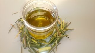 How to make lemongrass Oil at home [upl. by Silber]