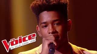 Lisandro Cuxi  « LEnvie daimer » Les 10 Commandements  The Voice 2017  Live [upl. by Greenquist]