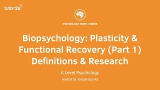 Revision Webinar Biopsychology – Plasticity amp Functional Recovery Part 1 Definitions amp Research [upl. by Bowden]