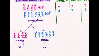 Sampling 03 Stratified Random Sampling [upl. by Clayton]