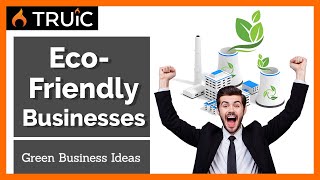 6 Eco Friendly Business Ideas Green Businesses for 2024 [upl. by Fulcher]