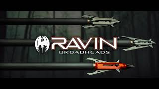 Ravin Broadheads [upl. by Surat]