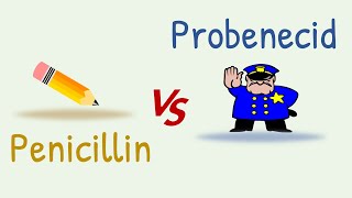 Penicillin and Probenecid Combination [upl. by Namajneb994]