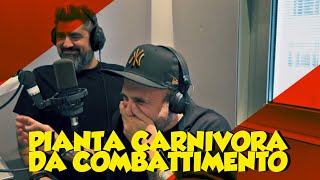 I TAMARRI  PIANTA CARNIVORA DA COMBATTIMENTO [upl. by Greenland430]