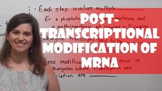 PostTranscriptional Modification of PremRNA [upl. by Ayk]