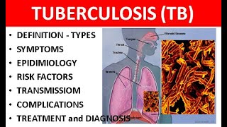 Tuberculosis TB Explained Causes Types Symptoms Diagnosis amp Treatment [upl. by Thatch303]