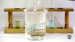 Food Tests  Iodine Biuret Benedicts Ethanol DCPIP [upl. by Alyal484]