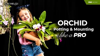 Orchid Potting and Mounting like a Pro [upl. by Idelson]